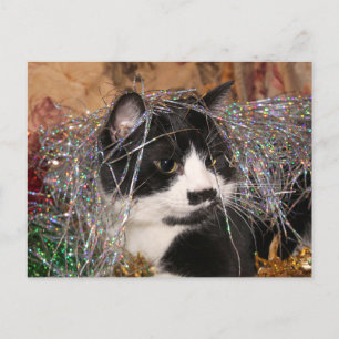 Naughty tuxedo kattunge jul helg vykort