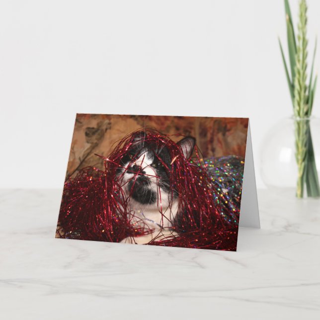 Naughty tuxedo kattunge jul helgkort (Framsida)