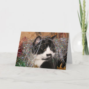 Naughty tuxedo kattunge jul helgkort