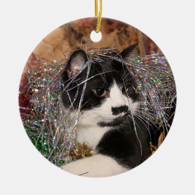 Naughty tuxedo kattunge jul julgransprydnad keramik (Framsidan)
