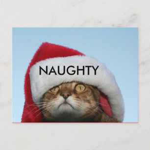 NAUGHTY VYKORT