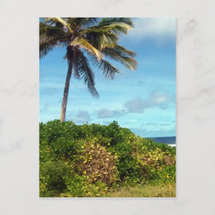 nauru handflatan vykort