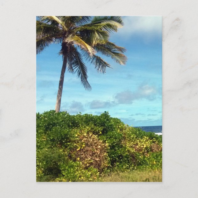 nauru handflatan vykort (Framsida)