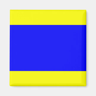 Nautical Flagga ’D’ Delta Magnet