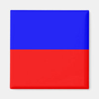 Nautical Flagga Signal Brev E (Echo)