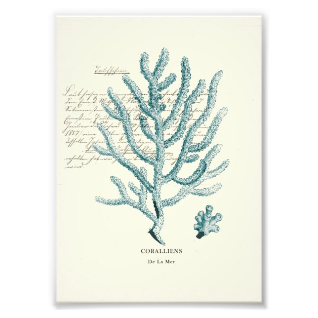 Nautical Mile Fototryck (Framsidan)