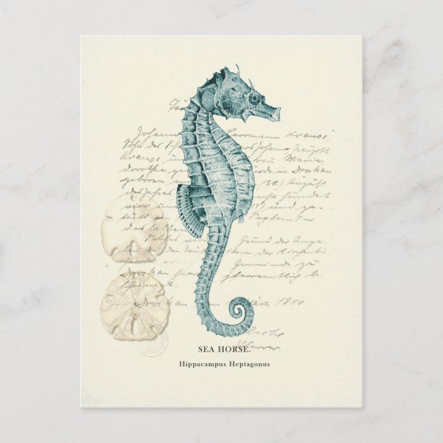 Nautical Mile Vykort (Framsida)