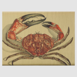 Nautical Red Crab Ephemera Decoupage