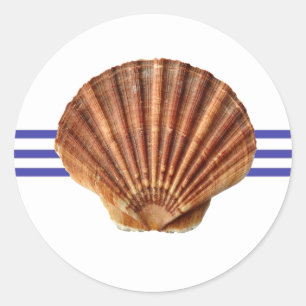 Nautical Seashell - Circle Sticker Runt Klistermärke