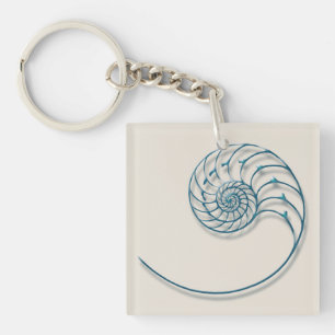 Nautilus 2