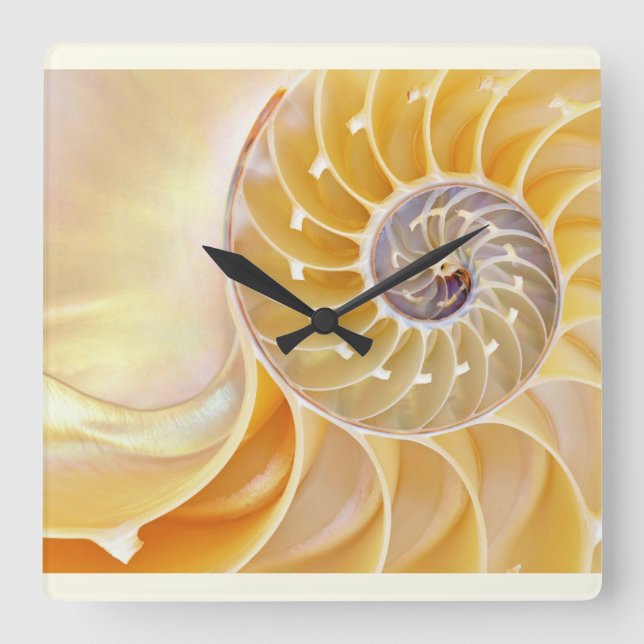 Nautilus Acrylic Wall Clock Fyrkantig Klocka (Framsida)