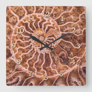 NAUTILUS ANCIENT SPIRAL FYRKANTIG KLOCKA