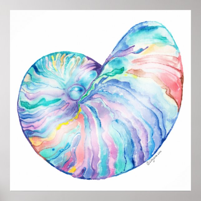 Nautilus Infinity Fine Art Print and Poster (Framsidan)