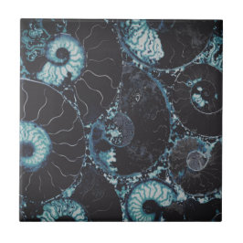 Nautilus midnite blue snäcka design kakelplatta