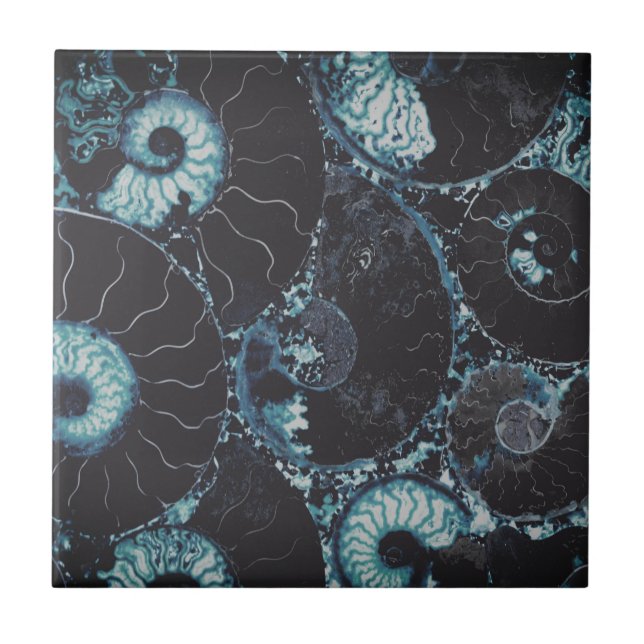 Nautilus midnite blue snäcka design kakelplatta (Framsidan)
