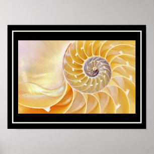Nautilus säsonhell Poster
