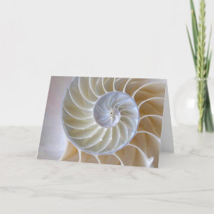 Nautilus Seashell  Golden Spiral Kort