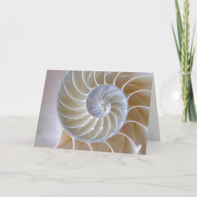 Nautilus Seashell| Golden Spiral Kort (Framsida)