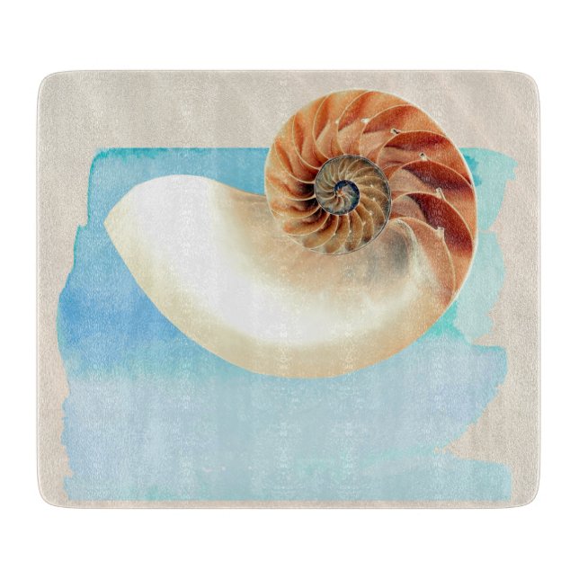 Nautilus Seashell och Sand (Framsidan)