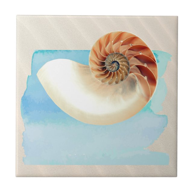 Nautilus Seashell och Sand Kakelplatta (Framsidan)