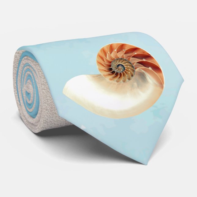 Nautilus Seashell och Sand Slips (Rullad)
