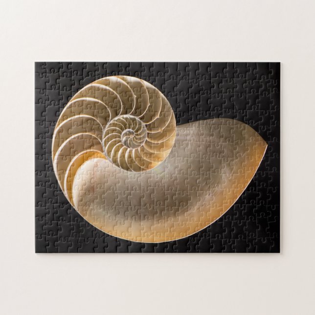 Nautilus Seashell Pussel (Horisontell)