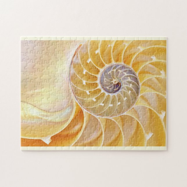 Nautilus Seashell Puzzle Pussel (Horisontell)