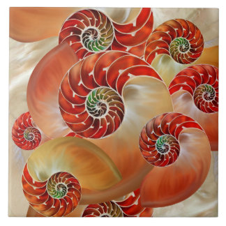 Nautilus Shells Kakelplatta