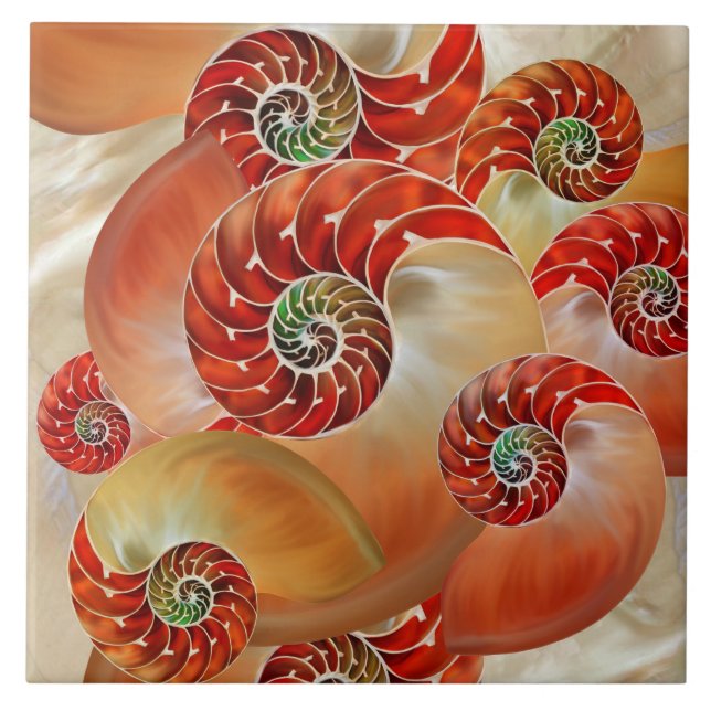 Nautilus Shells Kakelplatta (Framsidan)