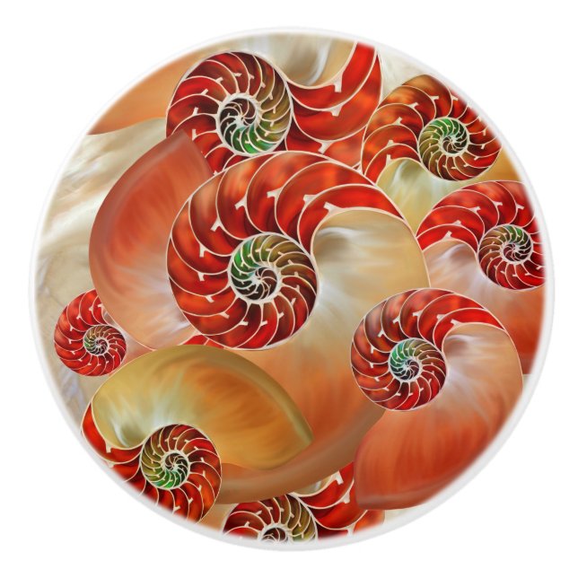 Nautilus Shells Knopp (Framsidan)