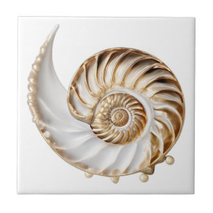 Nautilus-skal 3D pärla guld lyster hav nautisk Kakelplatta
