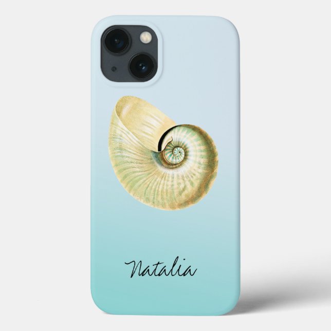 Nautilus snäcka (Baksida)