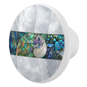 Nautilus Snäcka - Abalone och Pearl Knopp