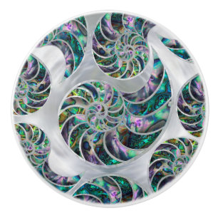 Nautilus Snäcka Abalone och Pearl Knopp