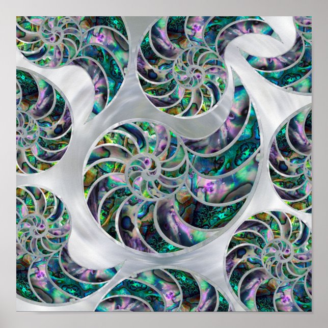 Nautilus Snäcka Abalone och Pearl Poster (Framsidan)