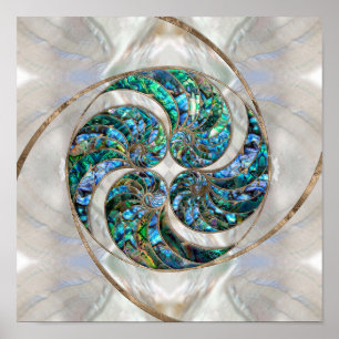 Nautilus Snäcka - Abalone och Pearl Poster
