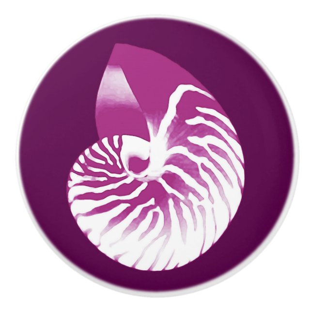 Nautilus snäcka - äggplants lila och vit knopp (Framsidan)