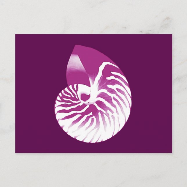 Nautilus snäcka - äggplants lila och vit vykort (Framsida)