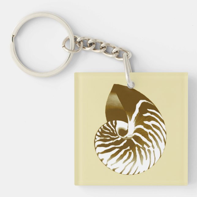 Nautilus snäcka - brun, vit och beige (Framsidan)