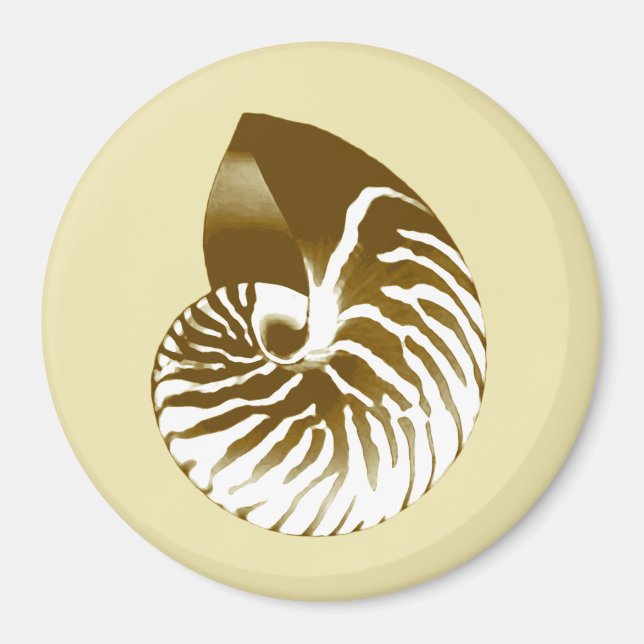 Nautilus snäcka - brun, vit och beige magnet (Framsidan)