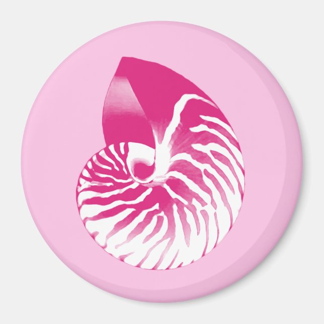 Nautilus snäcka - fuchsia rosa och vit magnet (Framsidan)