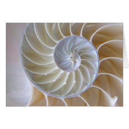 Nautilus Snäcka Golden Spiral-foto Hälsningskort