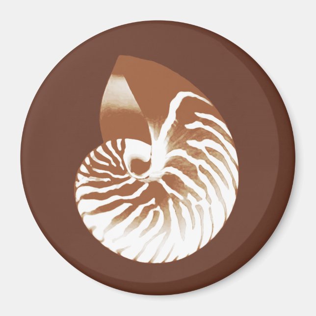 Nautilus snäcka - kakaobunt och vitt magnet (Framsidan)