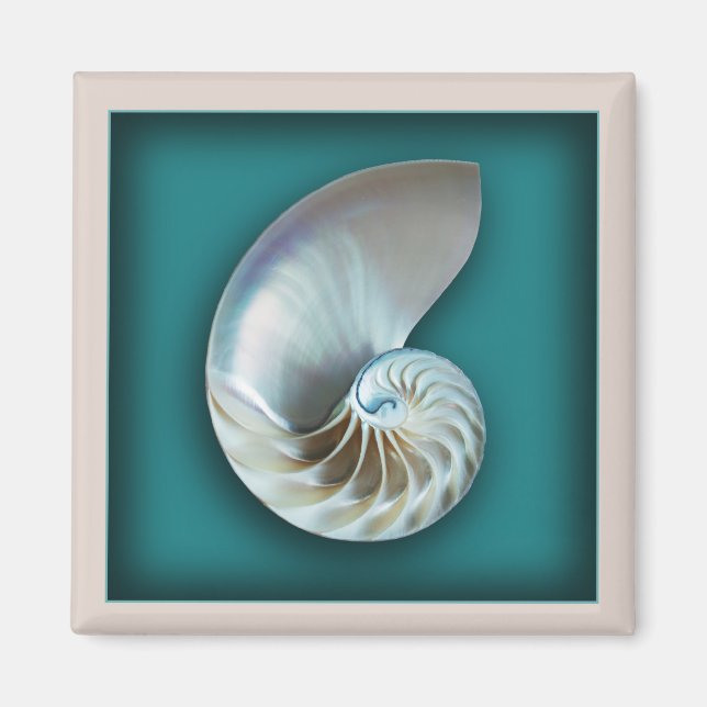 Nautilus snäcka magnet (Framsidan)