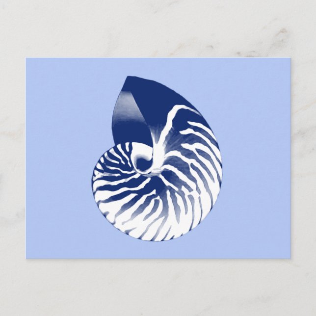 Nautilus snäcka - marin, vit och ljusblå vykort (Framsida)