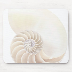 Nautilus snäcka, närhet musmatta