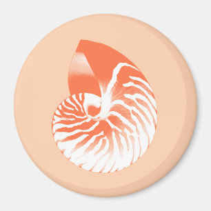 Nautilus snäcka - orange av korall och vit magnet