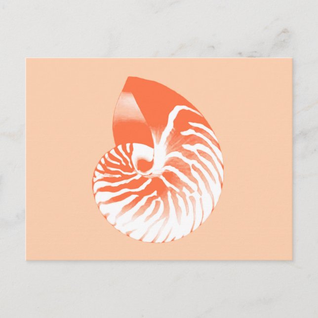 Nautilus snäcka - orange av korall och vit vykort (Framsida)