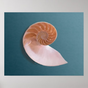 Nautilus Snäcka på Ocean Blue Fine Art Print Poster