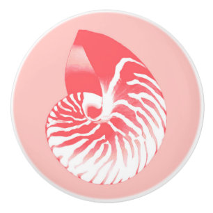Nautilus snäcka - rosa av korall och vit knopp